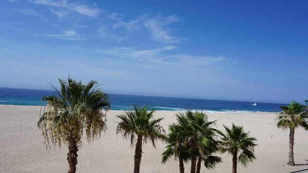 View Beach Los Cabos Baja California Del Sur Mexico — Stockfoto