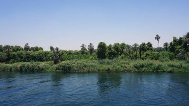 Nil nehri üzerindeki yeşil bitki örtüsü