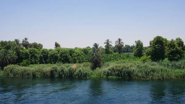 Nil Nehri Üzerindeki Yeşil Bitki Örtüsü — Stok fotoğraf