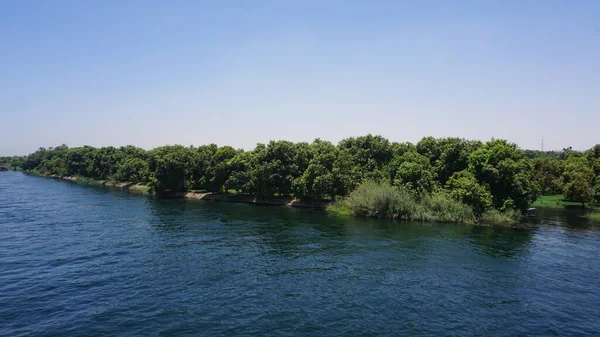 Зелена Рослинність Річці Ніл — стокове фото