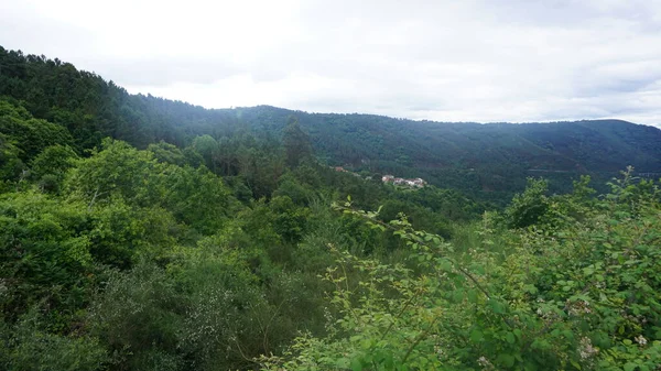 Village Mountain Ribeira Sacra Galicia — Stockfoto