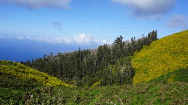 mountain landscapes in Madeira island, Portugal