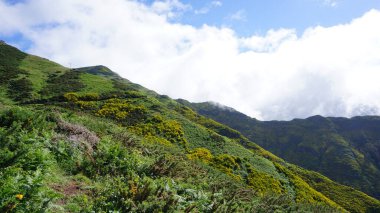 mountain landscapes in Madeira island, Portugal