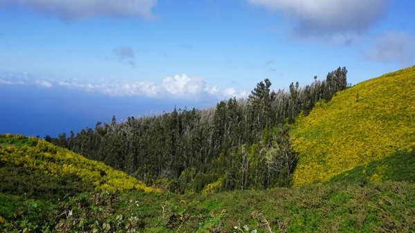 Mountain Landscapes Madeira Island Portugal — Fotografia de Stock