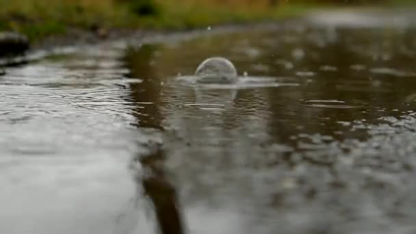 Regndroppar faller i pöl — Stockvideo