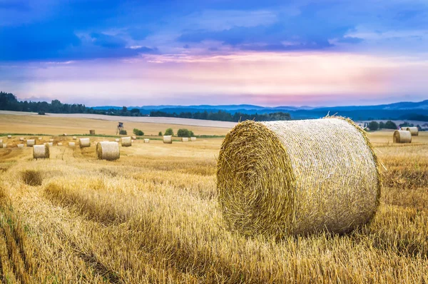 Bundle of straws during the twilight Royalty Free Stock Photos