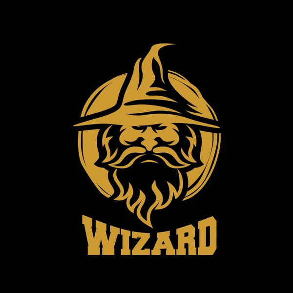 Modern Wizard Logo Vector Illustration — Stock vektor