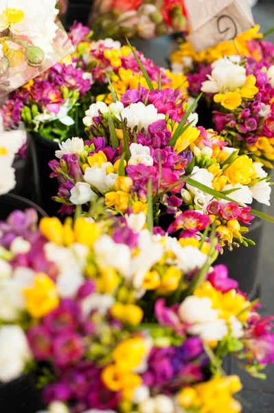 Färska blommor på marknaden — Stockfoto