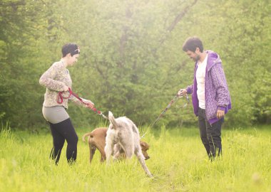 erkek ve kadın yürüyüşe tanıttı onların köpekleri