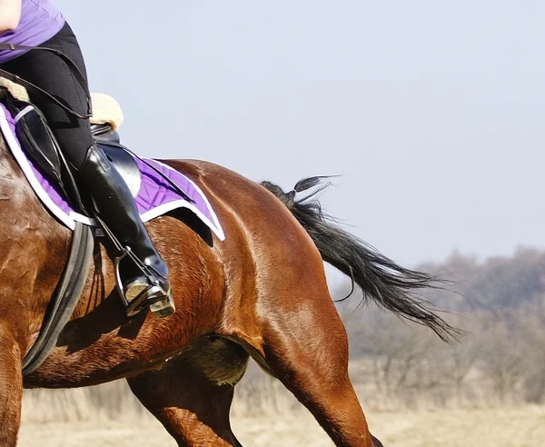 Montar a caballo — Foto de Stock