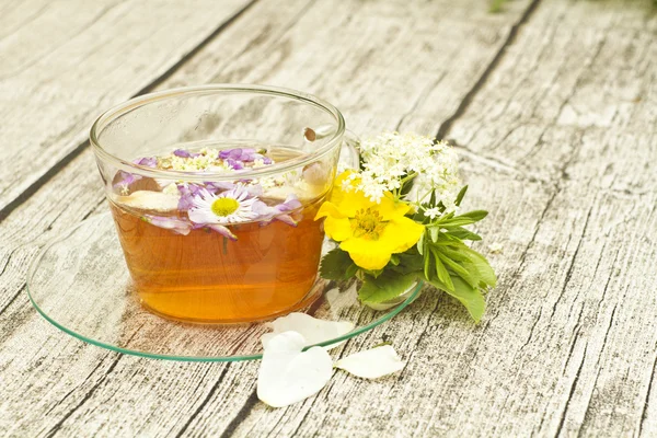 Cup of herbal tea with flowers — Stock Photo, Image