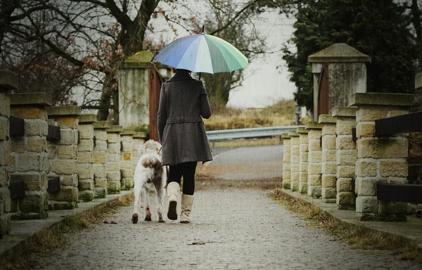 傘を持つ女性は彼女の犬と外は雨で歩く — Stockfoto
