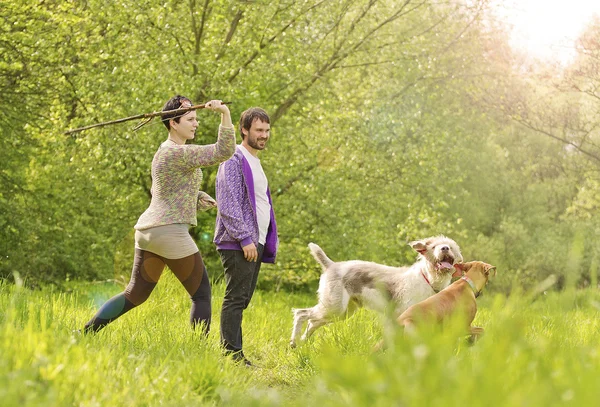 Young beautiful couple walking and playing dogs — Stock Photo, Image