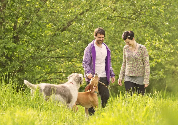 Unga vackra par promenader och leka hund — Stockfoto