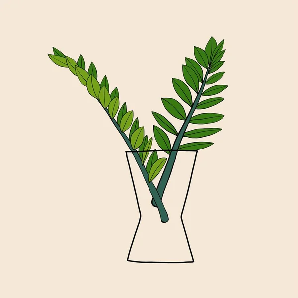 Simplicity Zanzibar Gem Plant Simplicity Freehand Drawing Flat Design — Stock Vector