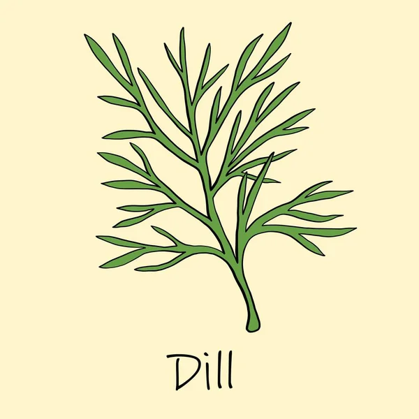 Doodle Freehand Sketch Drawing Dill — Stock Vector