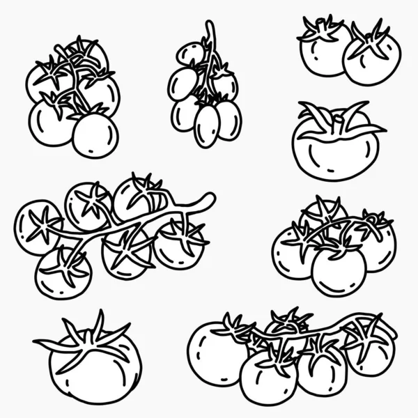 Doodle Freihand Skizze Zeichnung Von Tomatengemüse — Stockvektor