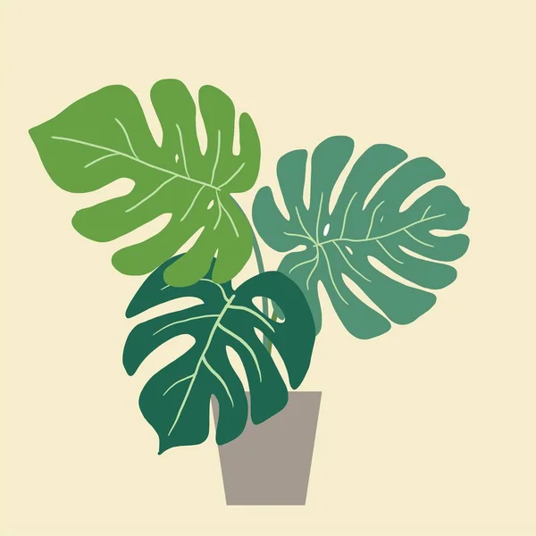 Semplicità Impianto Monstera Disegno Mano Libera Linea Continua Design Piatto — Vettoriale Stock