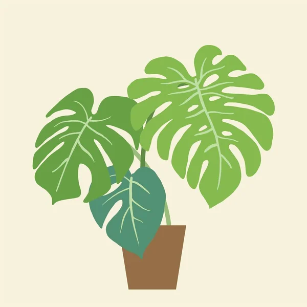 Semplicità Impianto Monstera Disegno Mano Libera Linea Continua Design Piatto — Vettoriale Stock