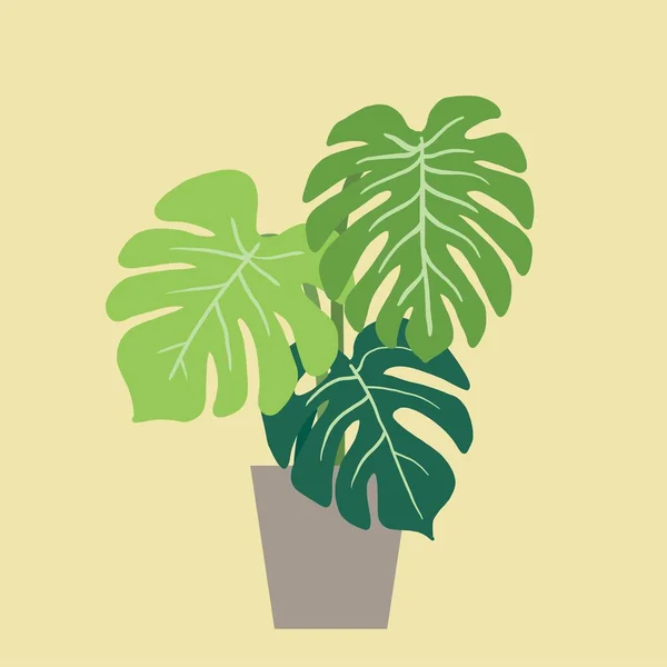 Semplicità Impianto Monstera Disegno Mano Libera Linea Continua Design Piatto — Vettoriale Stock