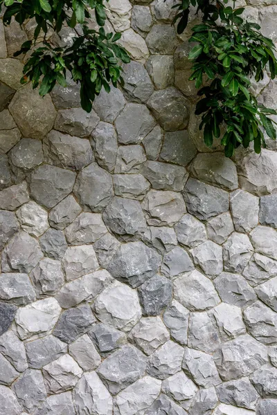 Andesite Rock Natureza Rocha Fundo Exterior Ornamento Painel — Fotografia de Stock