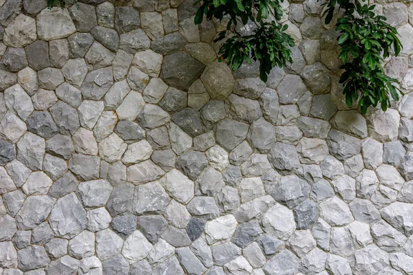 Andesite Rock Natura Rock Tło Zewnętrzne Ozdoba Panel — Zdjęcie stockowe