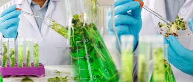 research scientist team working  research and Biotech science Photobioreactor in laboratory of algae fuel, biofuel sustainable biochemical clipart