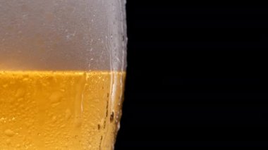 Su damlalı bir bardak bira. Bira köpüğü. Bira bardağında soğuk light bira.