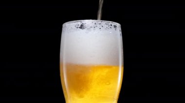 Hafif bira bardağa dökülüyor. Bardakta soğuk bira ve su damlası. Bira köpük oluşturur. Tazelik ve köpük. İzole edilmiş siyah arkaplan