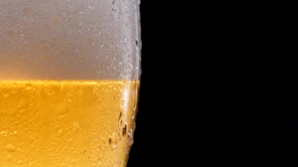 Lager Beer closeup. Beer isolated on black background. Glass of beer with water drops. Beer foam — Stock Video