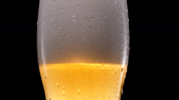 Cerveja leve fria em um copo com gotas de água. Caneca de cerveja perto de um fundo preto. Espuma de cerveja — Vídeo de Stock