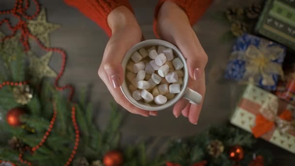 Warme chocolade met marshmallows in vrouwelijke handen — Stockvideo