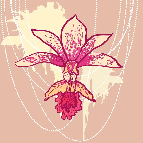 Vektor-Skizze Orchidee mit Spritzhintergrund — Stockvektor