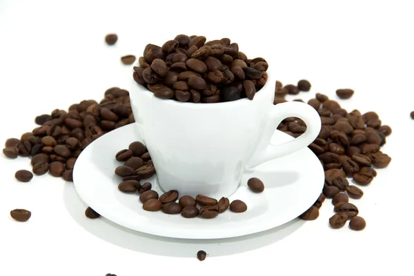 Kaffebönor i kopp Stockbild