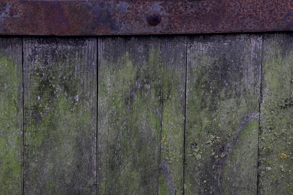 Boards with moss — Stock Photo, Image