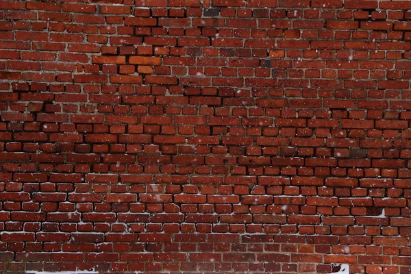 Ziegelmauer — Stockfoto