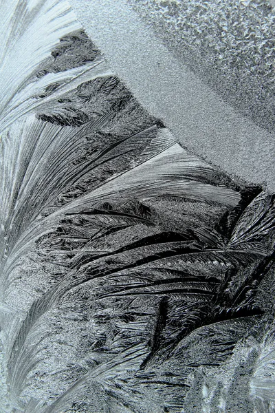 Buz kalıpları, pencere — Stok fotoğraf