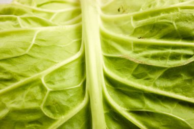 Sebzeler: Lahana, Avrupa 'da en çok tüketilen lahana türü. 