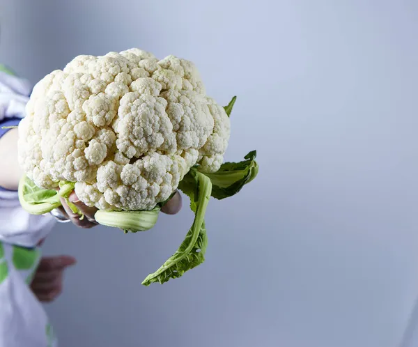 Vegetables Cauliflower Winter Vegetable Rich Fiber Carbohydrates Vitamins — Stock Photo, Image