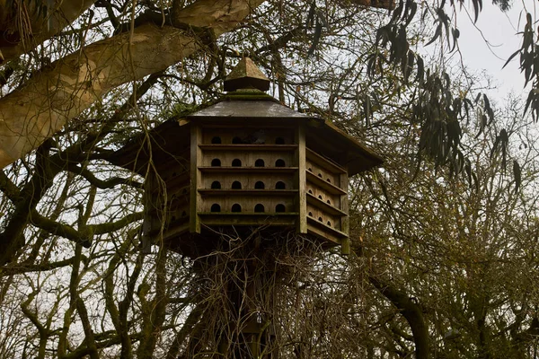 Dovecote Wooden Construction Birds Tree — Stock Photo, Image