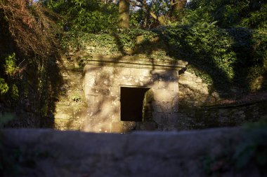 Yıkılmış bina. Binanın kalıntılarıyla dolu bir orman.