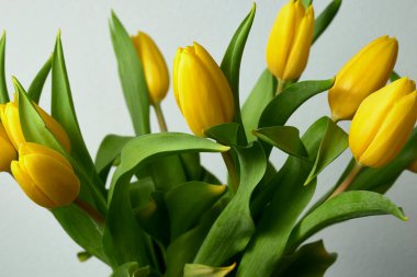 Sarı çiçekler. Laleli cam vazo