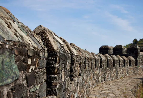 Ortaçağdan kalma bir şatonun savaşları