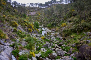 Cabrao Nehri. Sierra de Alvao Şelalesi, Portekiz