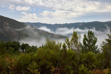 Sierra de Ancares (Lugo). Landscape of the mountains of the province of Lugo.