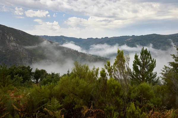 Sierra Ancues Lugo Τοπίο Των Βουνών Της Επαρχίας Του Λούγκο — Φωτογραφία Αρχείου