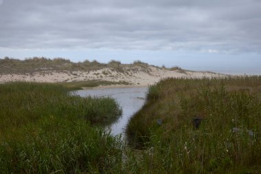 Laxe (Spain), August 20, 2022. Traba Beach. It is a protected area for the many migratory birds and for its dunes
