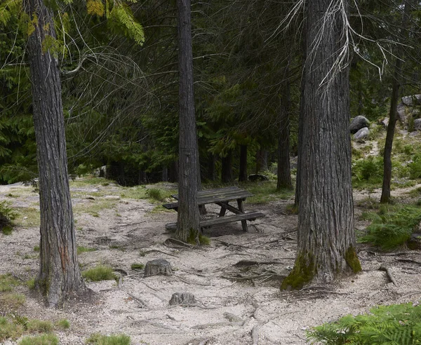 Picnic. area Wooden tables for picnics in a forest in Portugal