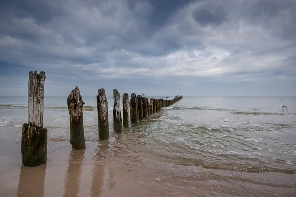 Балтийское море - Stock Image — стоковое фото