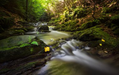 şelale - stok görüntü